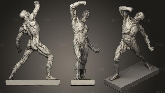 Скульптура Мускулистого Тела 3d stl модель для ЧПУ